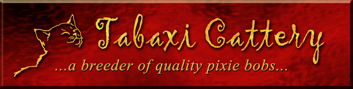 Tabaxi Cattery's logo